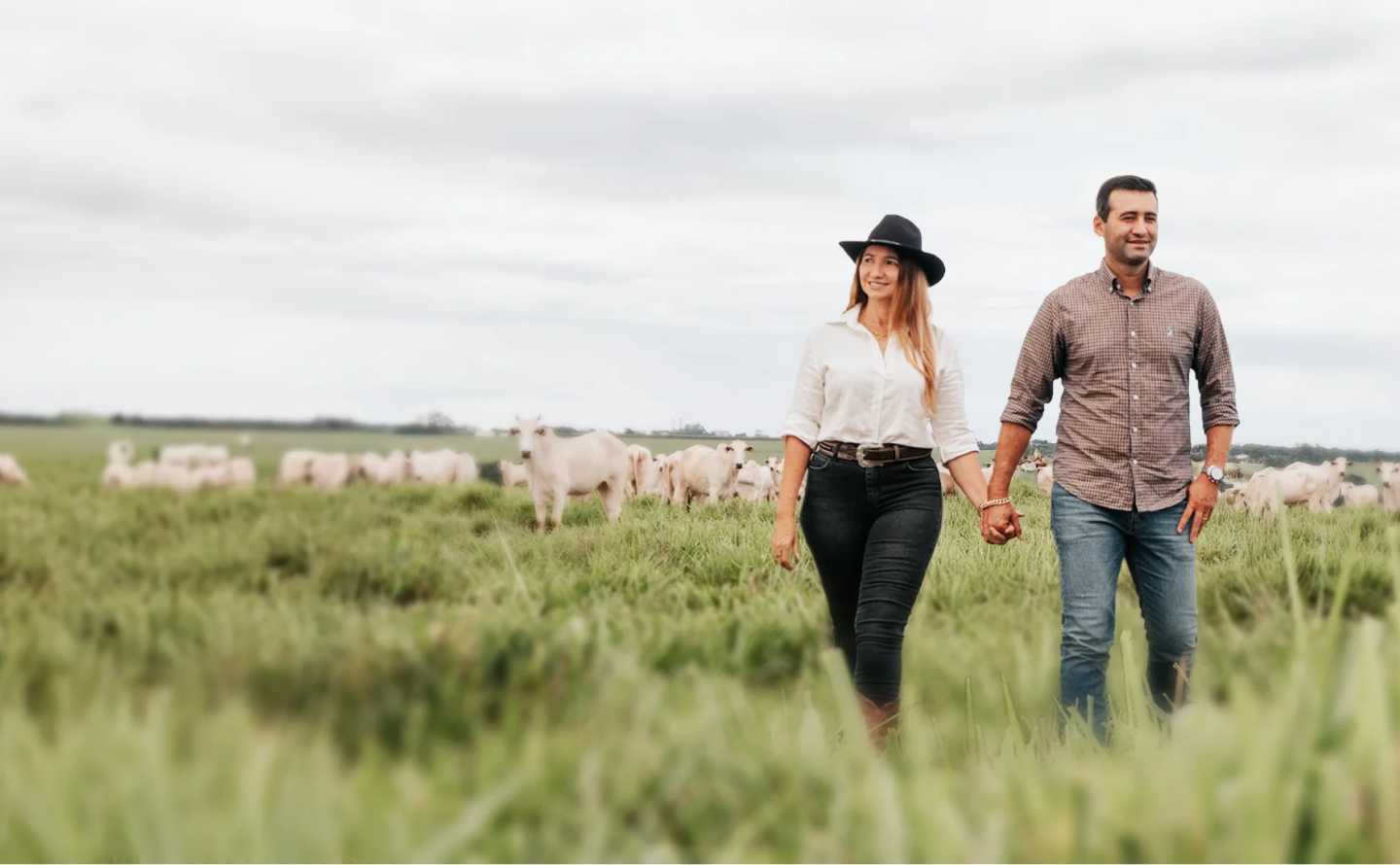 Casal da Pecuária - Black Friday